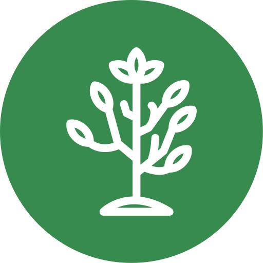 Tree Generic Circular icon