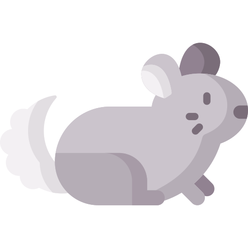 chinchilla icono gratis