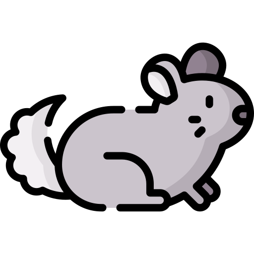 chinchilla icono gratis