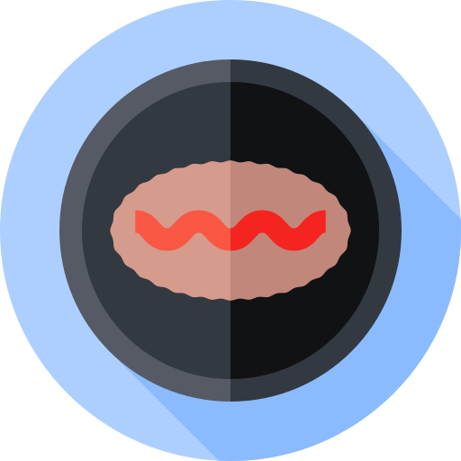 tonkatsu Icône gratuit