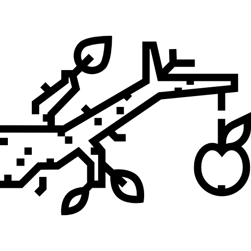 Fruit free icon