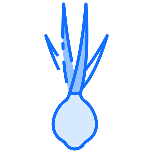 Onion free icon Onion free icon