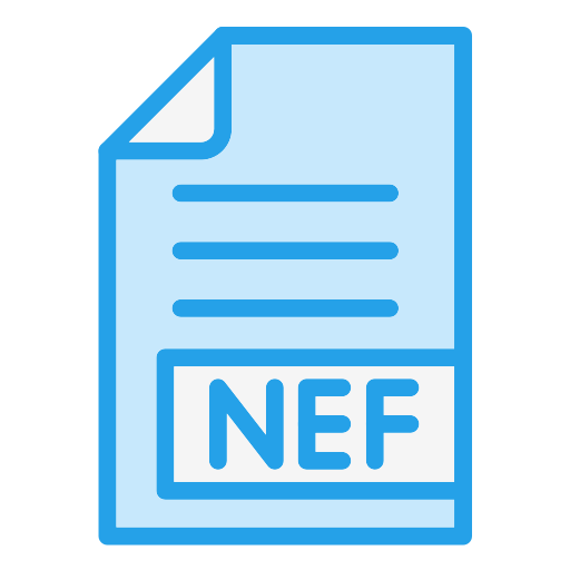 nef icono gratis