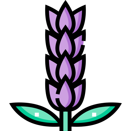 lavanda icono gratis