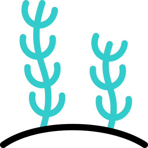 Seaweed free icon Seaweed free icon