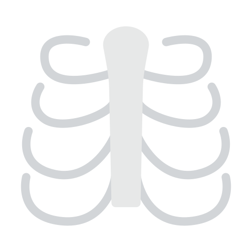 Rib cage Vector Stall Flat icon