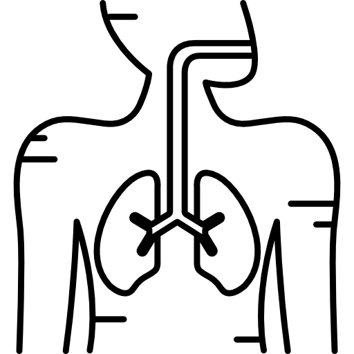 sistema respiratorio icono gratis