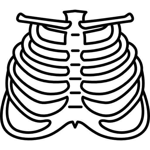 costillas humanas icono gratis