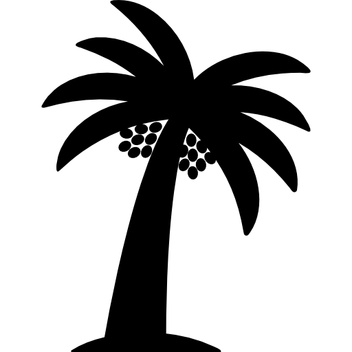 Palm Tree with Date free icon