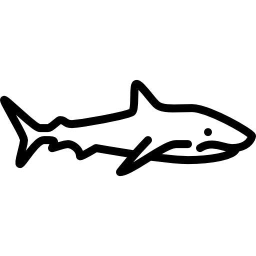 Big Shark Special Lineal icon