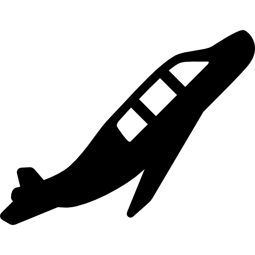 Plane Taking Off icon