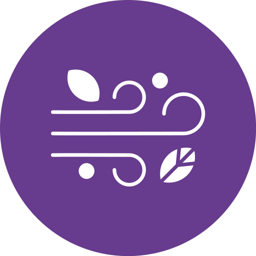 Wind free icon