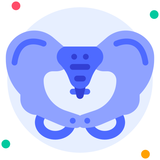 pelvis icono gratis