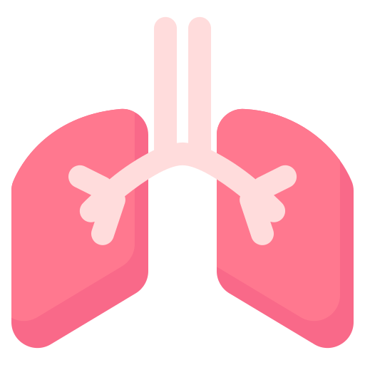 Lung Generic Flat icon