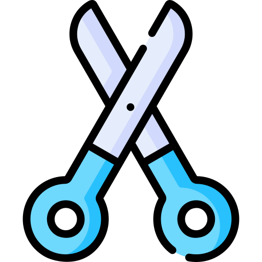 Scissor Special Lineal color icon