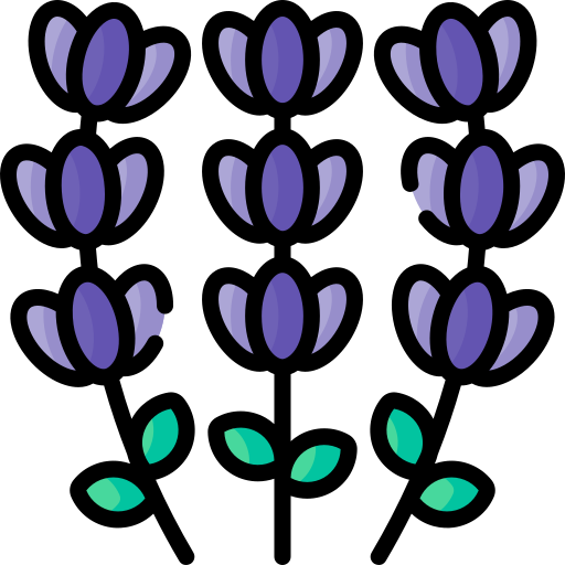 lavanda icono gratis