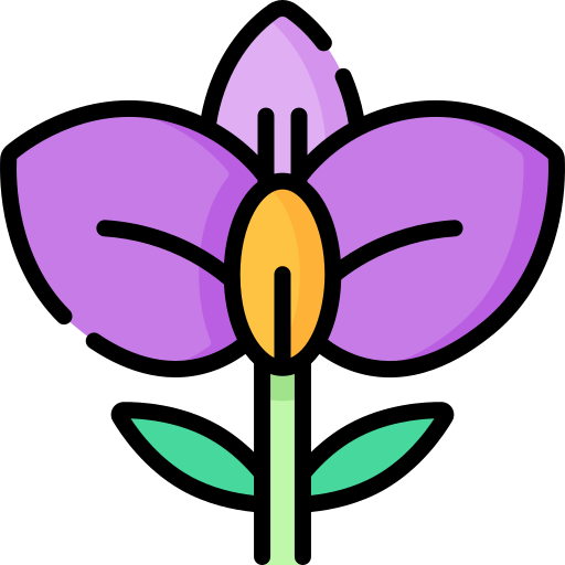 orquídea grátis ícone orquídea grátis ícone