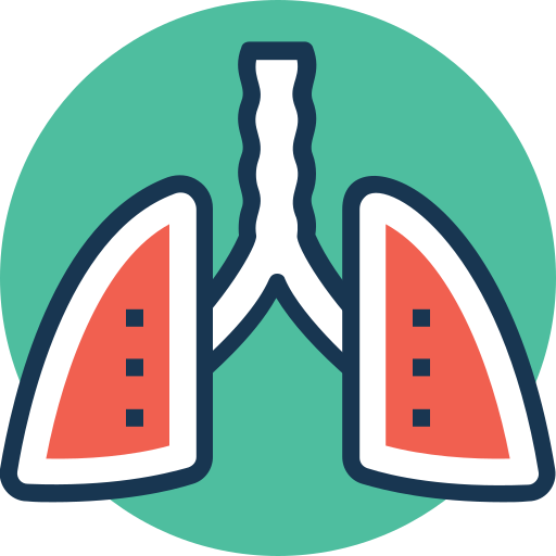 Human Lungs Generic Rounded Shapes Icon