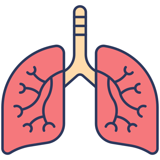 Lungs Generic Outline Color icon