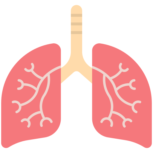 Lungs Generic Flat icon