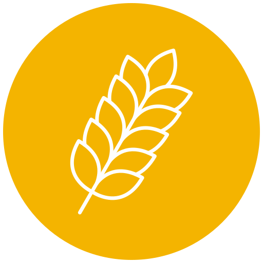 Wheat free icon Wheat free icon