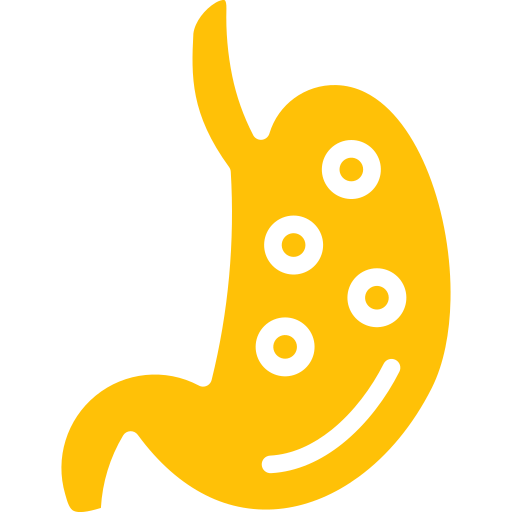 Желудок бесплатно иконка