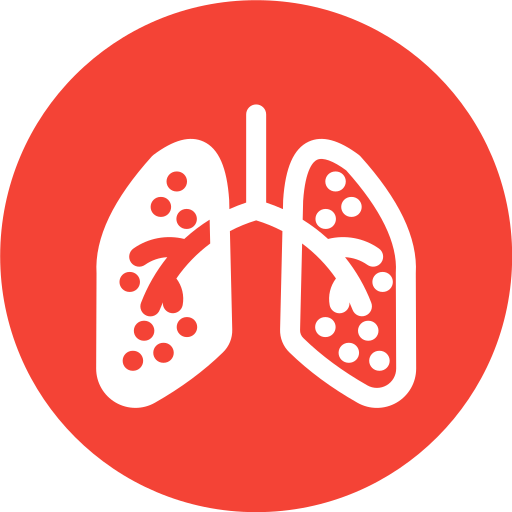 Lungs Generic Flat icon