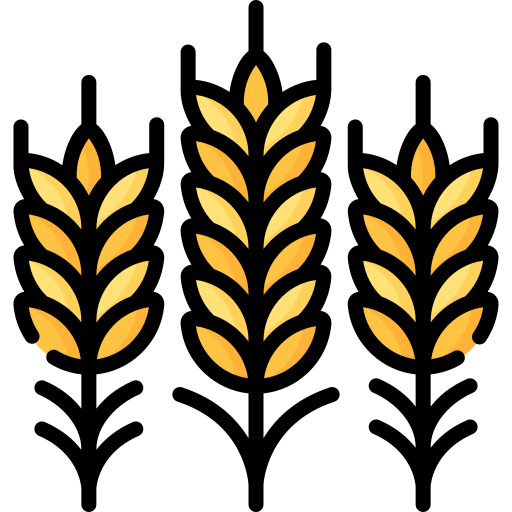 Wheat Special Lineal Color Icon