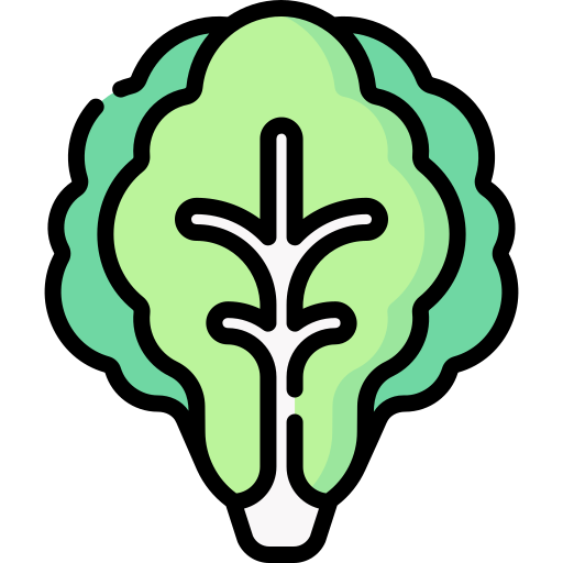 Lettuce free icon Lettuce free icon