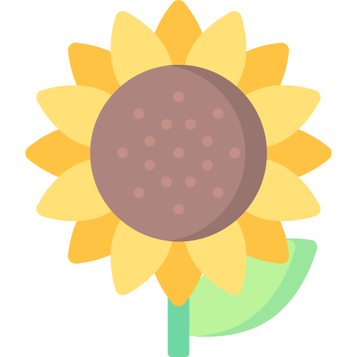 Sunflower free icon Sunflower free icon