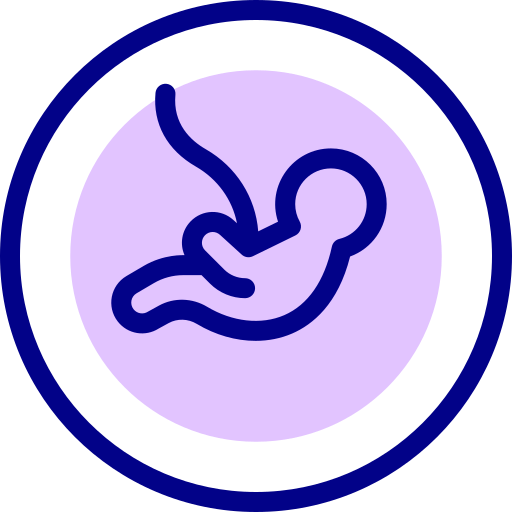 fötus kostenlos Icon