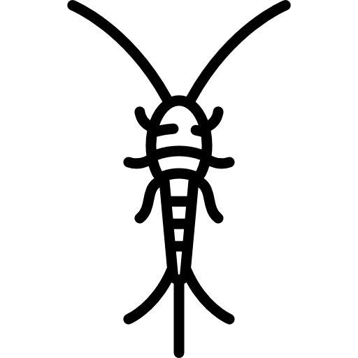 Silverfish free icon