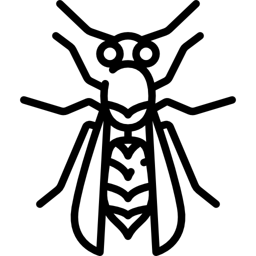 Wasp free icon