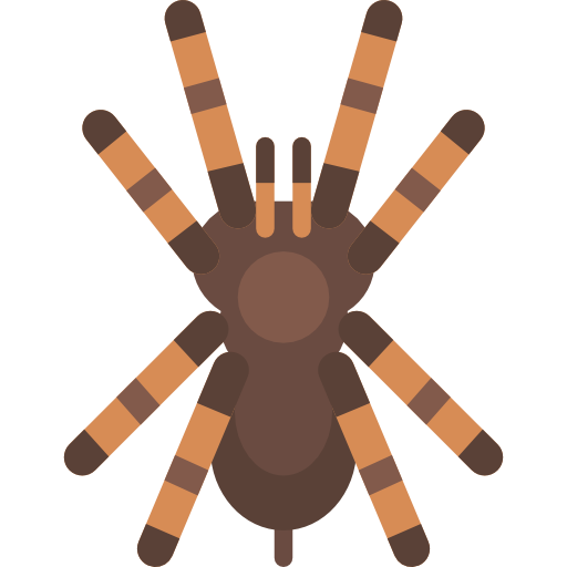 tarántula icono gratis