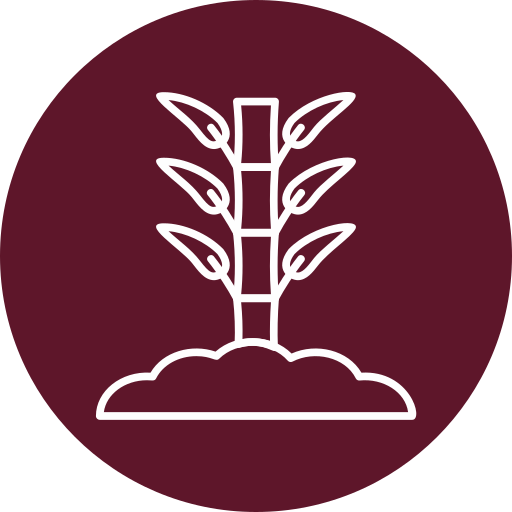 bambú icono gratis