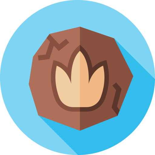 Footprint free icon