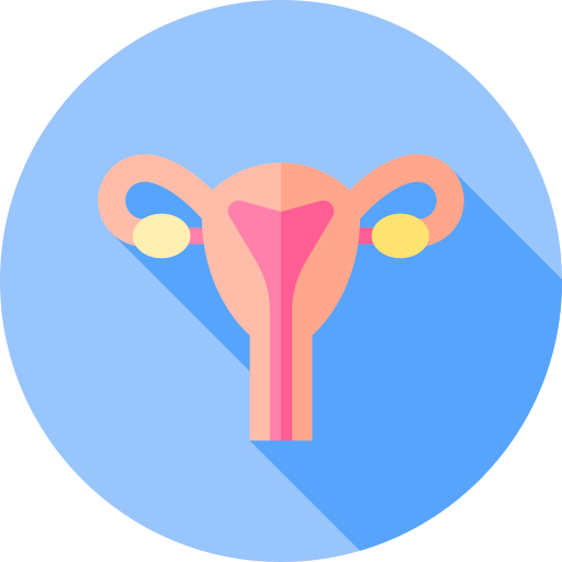 Reproductive System Free Medical Icons 