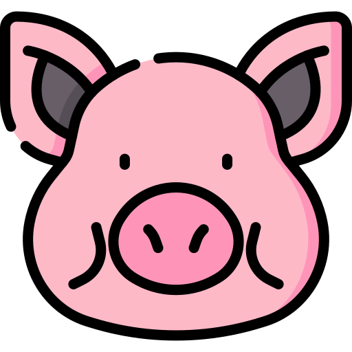 Pig Special Lineal Color Icon