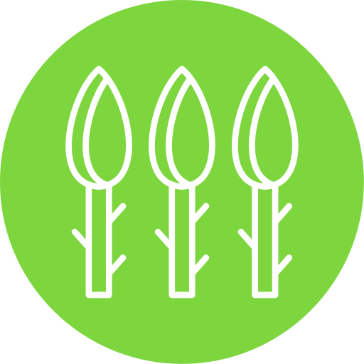 spargel kostenlos Icon