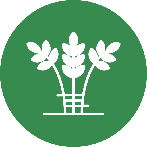 Урожай бесплатно иконка Урожай бесплатно иконка