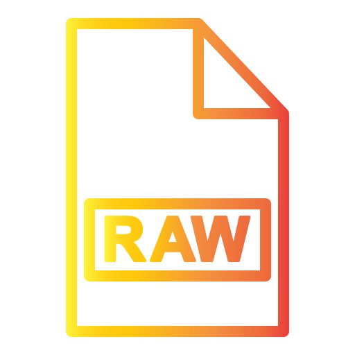 archivo raw icono gratis