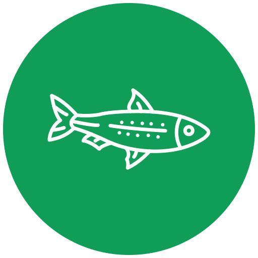 Sardine - Free animals icons