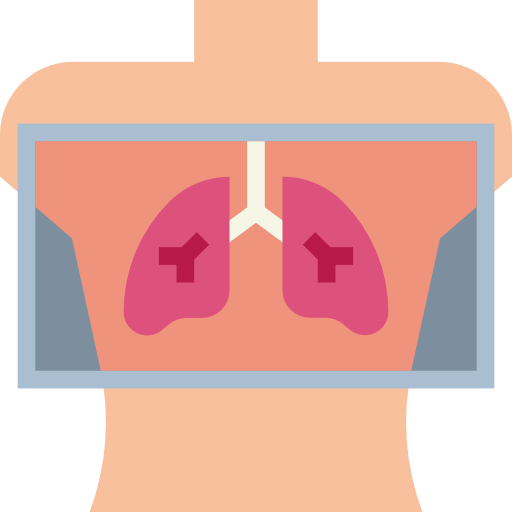 X ray free icon X ray free icon