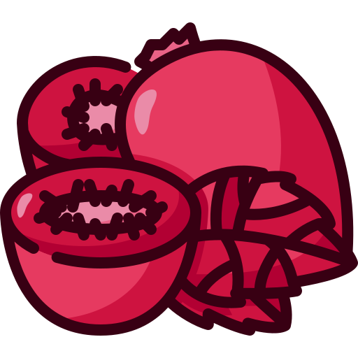 kiwi kostenlos Icon