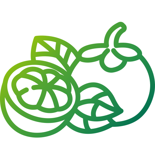 mangostán icono gratis