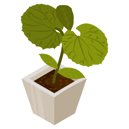 pot de fleur Icône gratuit