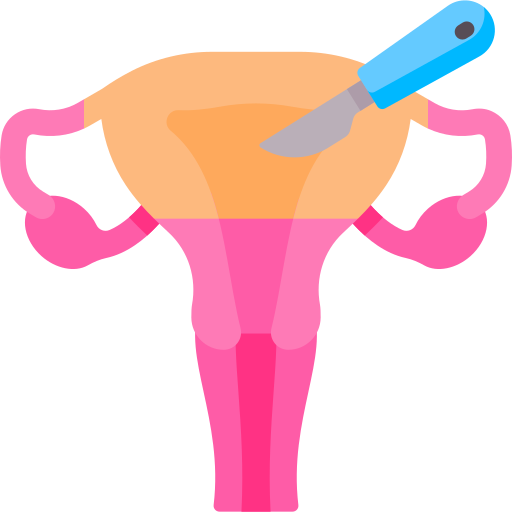 Hysterectomy Special Flat icon