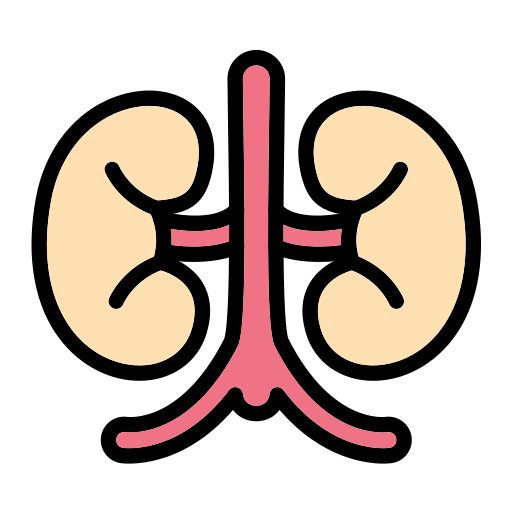 Kidney Generic Detailed Outline icon