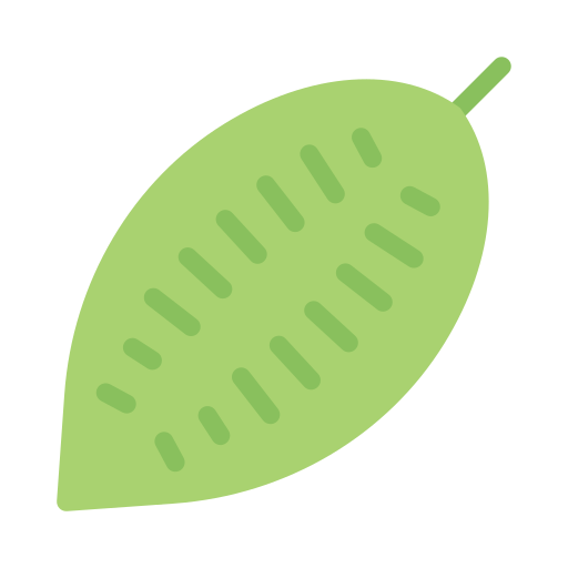 Cumin free icon