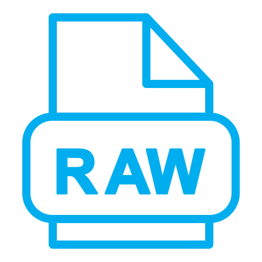 archivo raw icono gratis